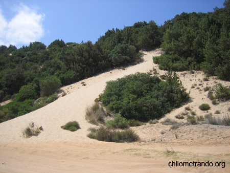 Piscinas Le dune 01