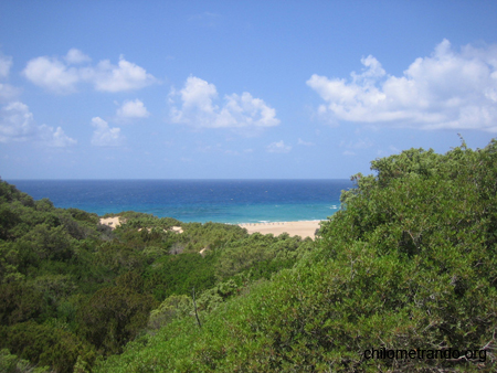 Piscinas Vegetazione sulle dune