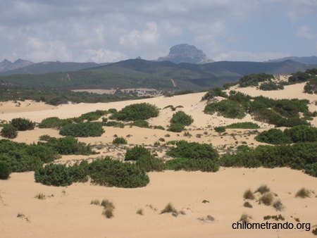 Piscinas dune 06