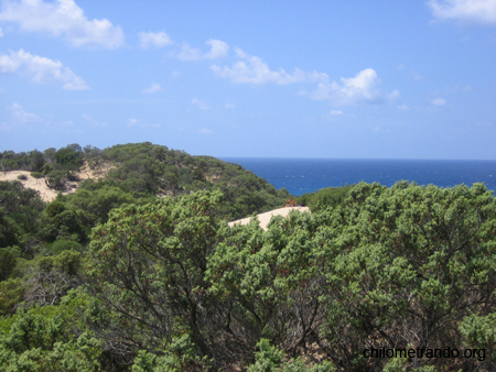 Piscinas le dune 12