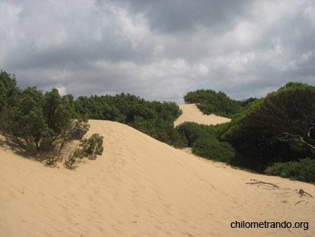 Piscinas le dune 13