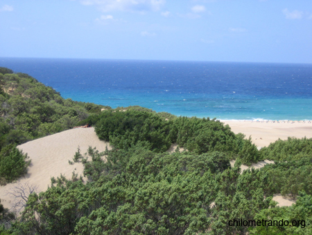 Piscinas le dune 14