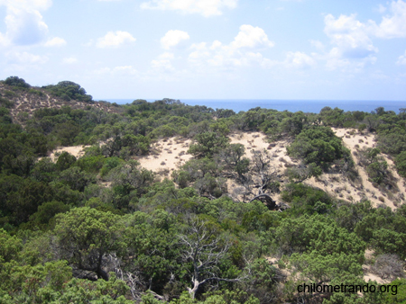 Piscinas le dune 17