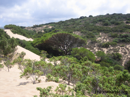 Piscinas le dune 18