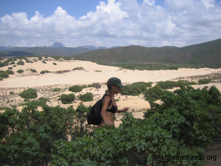 Piscinas le dune 24