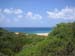 Piscinas Vegetazione sulle dune